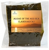 ALAGAE OF THE RED SEA LAMINARIYA